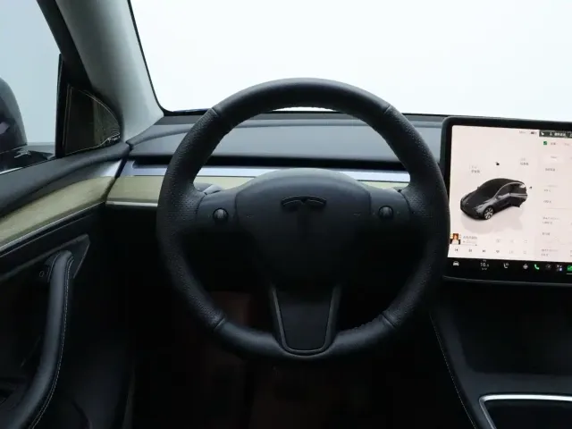 Tesla Model Y — Фото автомобиля 13