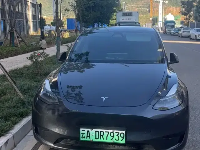Tesla Model Y — Фото автомобиля 2