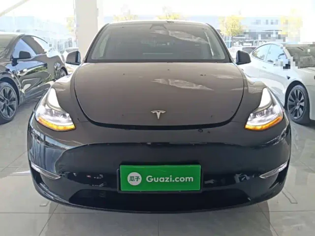 Tesla Model Y — Фото автомобиля 2