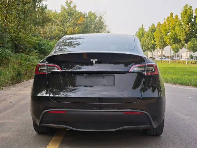 Tesla Model Y — Фото автомобиля 17
