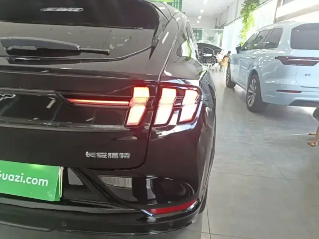 Ford Mustang Mach-E — Фото автомобиля 7
