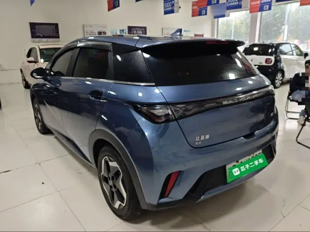 BYD Dolphin — Фото автомобиля 4