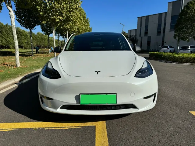 Tesla Model Y — Фото автомобиля 2