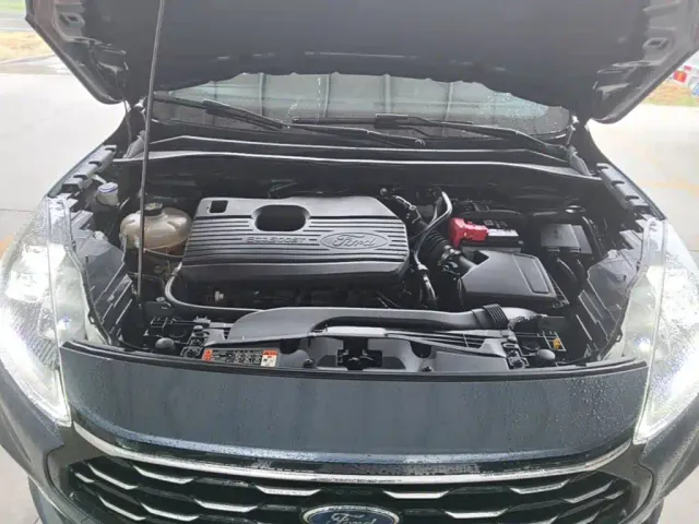 Ford Escape — Фото автомобиля 19