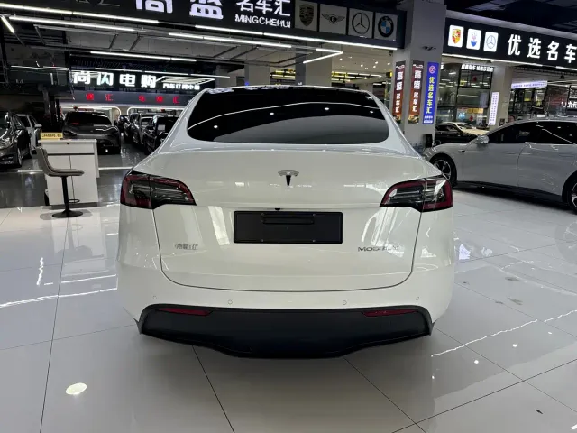 Tesla Model Y — Фото автомобиля 19