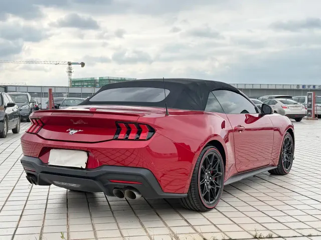 Ford Mustang — Фото автомобиля 13