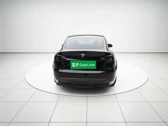 Tesla Model Y — Фото автомобиля 3