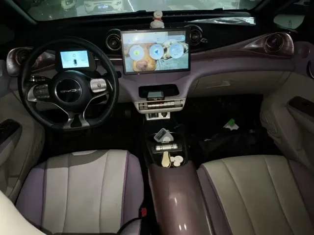 BYD Dolphin — Фото автомобиля 9