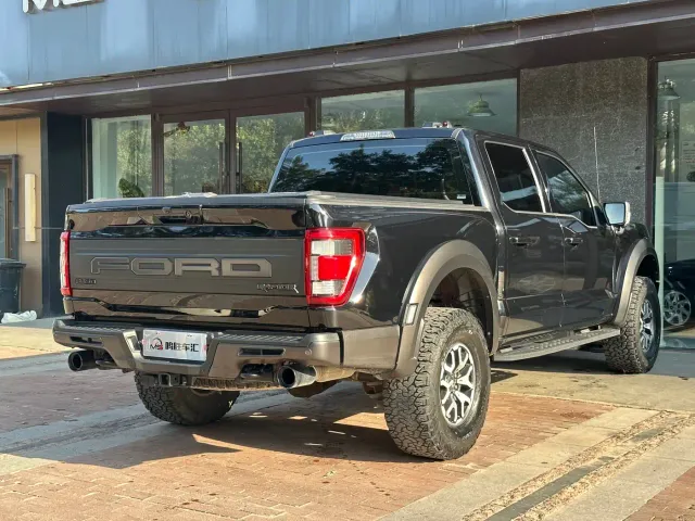 Ford F-150 Raptor — Фото автомобиля 8