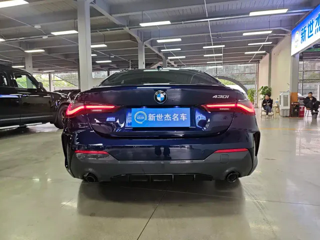 BMW 4 Series — Фото автомобиля 13