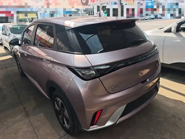 BYD Dolphin — Фото автомобиля 22