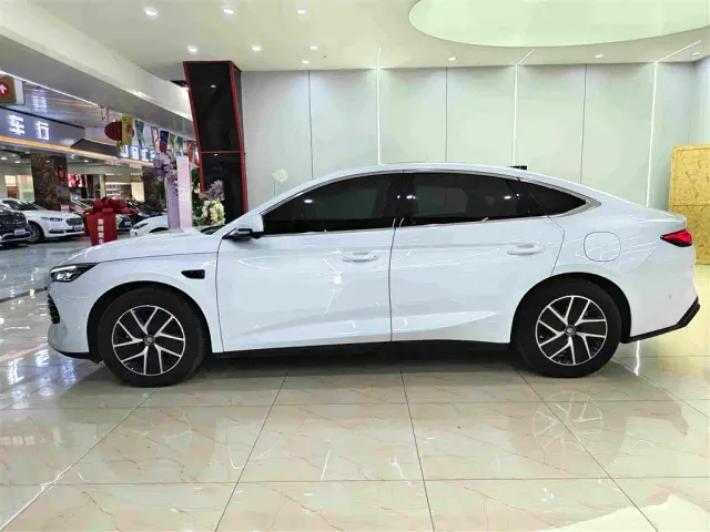 BYD Qin L — Фото автомобиля 16