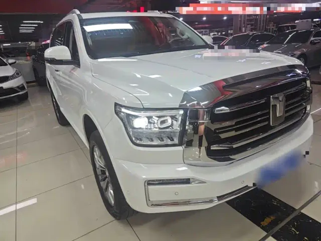 Tank 500 — Фото автомобиля 3