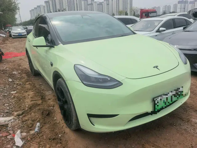 Tesla Model Y — Фото автомобиля 3