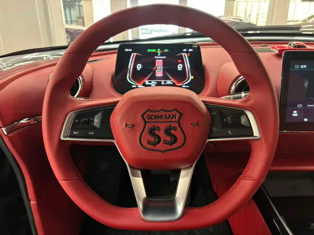 SONGSAN MOTORS SS DOLPHIN — Фото автомобиля 7