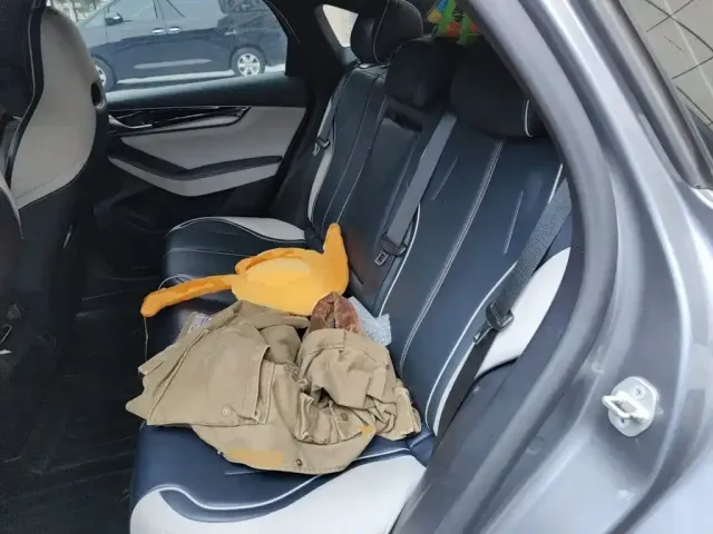 BYD Qin PLUS — Фото автомобиля 18