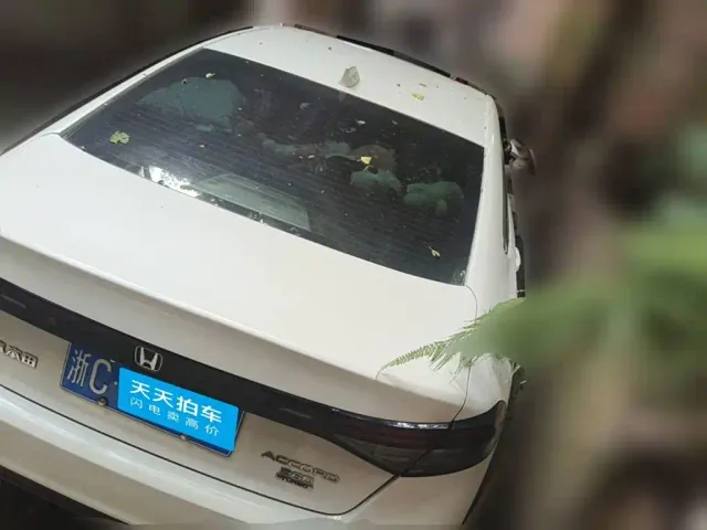 Honda Accord — Фото автомобиля 2