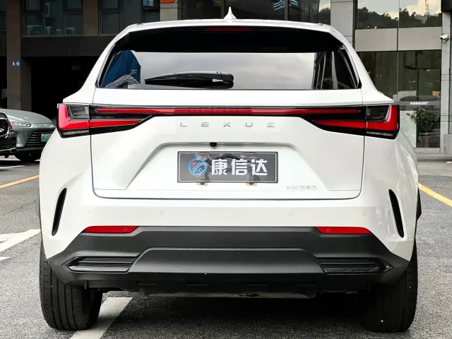 Lexus NX — Фото автомобиля 10