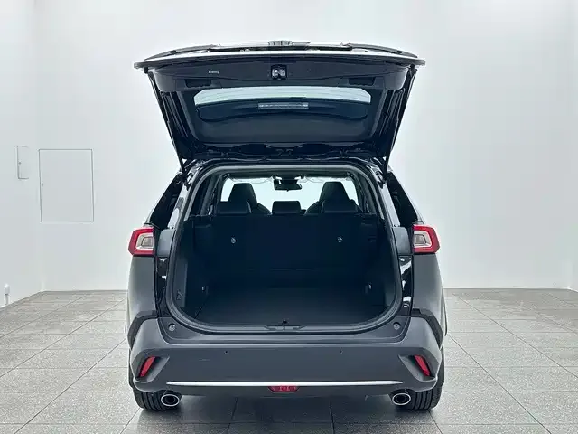 Toyota Wildlander — Фото автомобиля 15