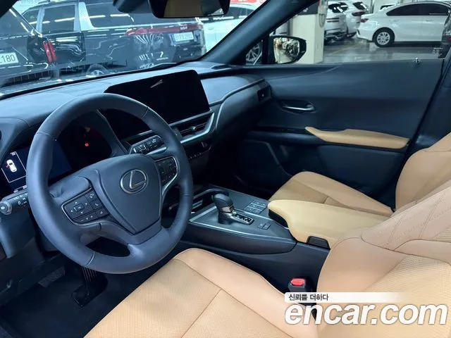 Lexus UX UX300h — Фото автомобиля 12