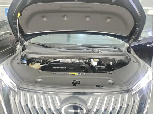 GAC Trumpchi M8 — Фото автомобиля 19