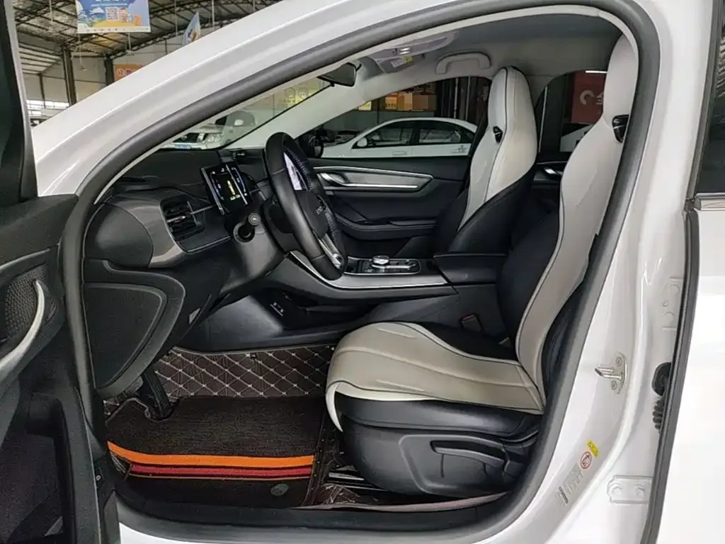 BYD Destroyer 05 2024 Glory Edition DM-i 55KM Luxury — Фото автомобиля 14