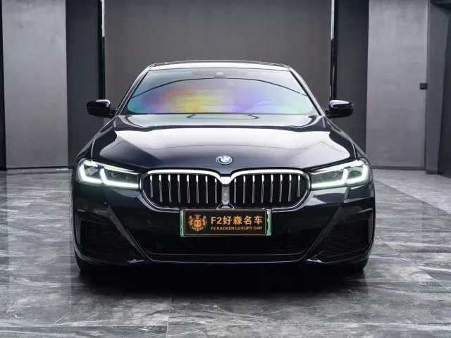 BMW 5 Series — Фото автомобиля 6