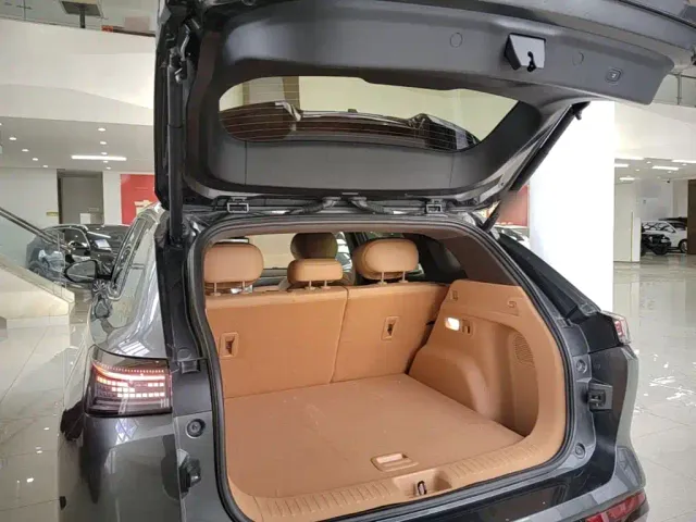 Dongfeng Aeolus L8 — Фото автомобиля 18