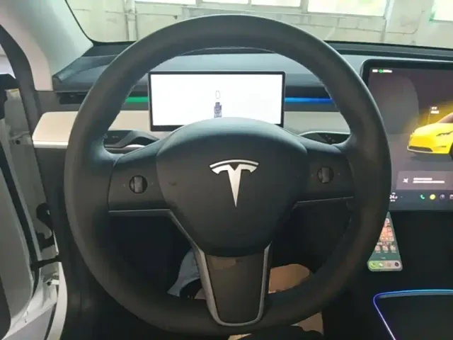 Tesla Model Y — Фото автомобиля 10
