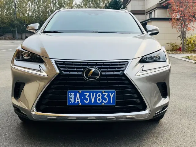 Lexus NX — Фото автомобиля 2