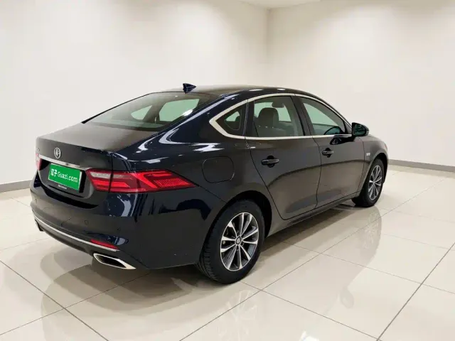 BYD Qin PLUS — Фото автомобиля 6