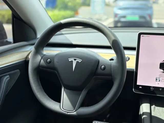Tesla Model Y — Фото автомобиля 9