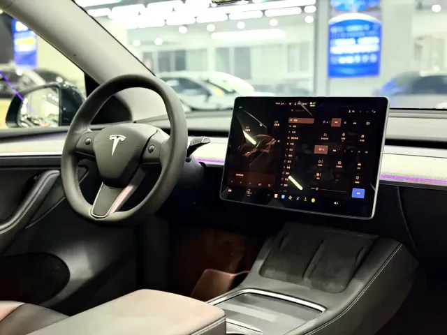 Tesla Model Y — Фото автомобиля 12