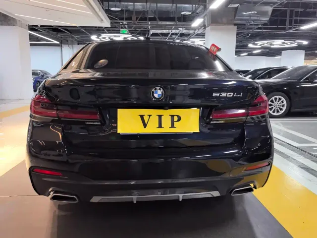 BMW 5 Series — Фото автомобиля 19
