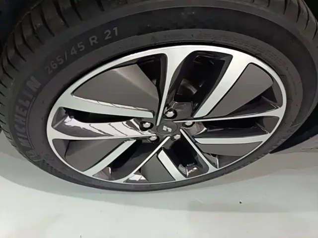 Li Auto L9 — Фото автомобиля 22