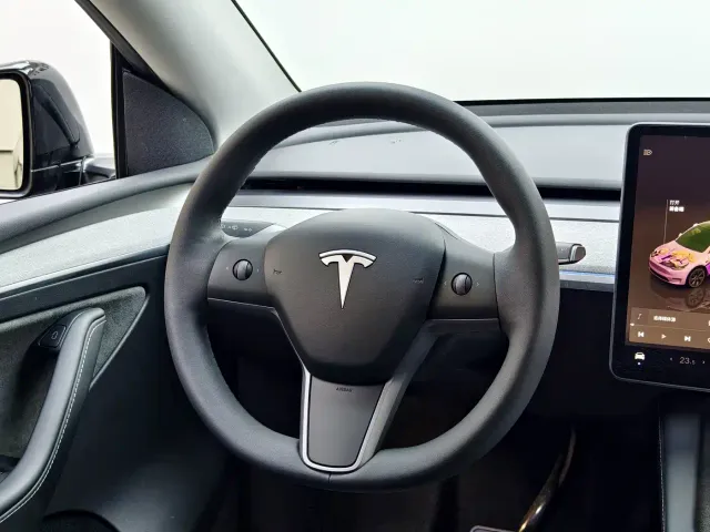 Tesla Model Y — Фото автомобиля 15
