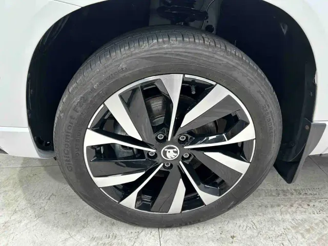 Skoda Karoq — Фото автомобиля 25
