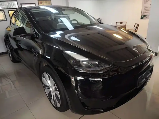 Tesla Model Y — Фото автомобиля 3