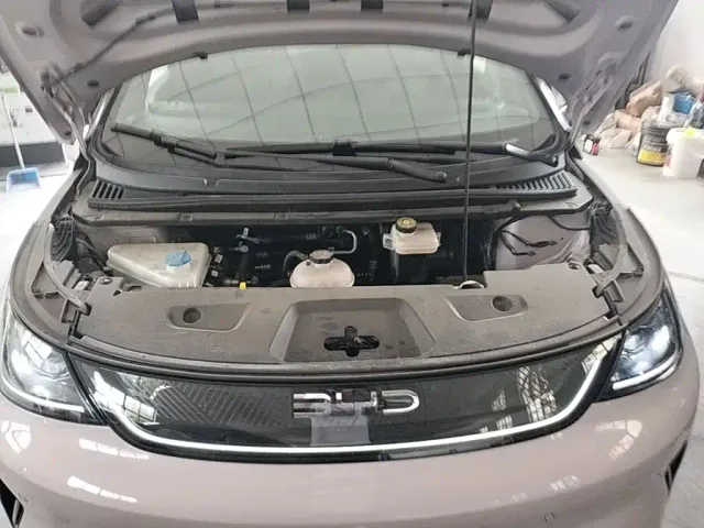 BYD Dolphin — Фото автомобиля 19