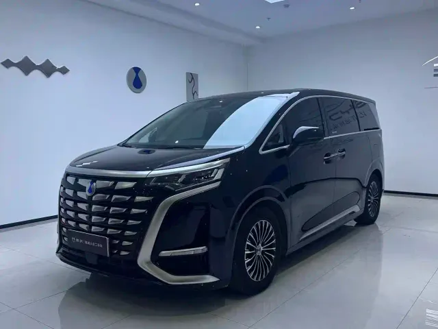 Фотография автомобиля — Denza D9