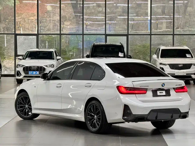BMW 3 Series — Фото автомобиля 9