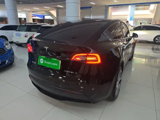 Tesla Model Y — Фото автомобиля 6