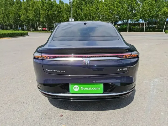 Buick Electra L7 — Фото автомобиля 3