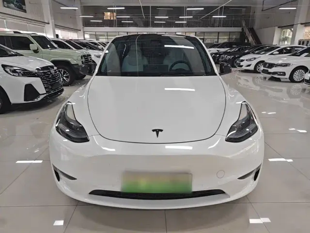 Tesla Model Y — Фото автомобиля 2