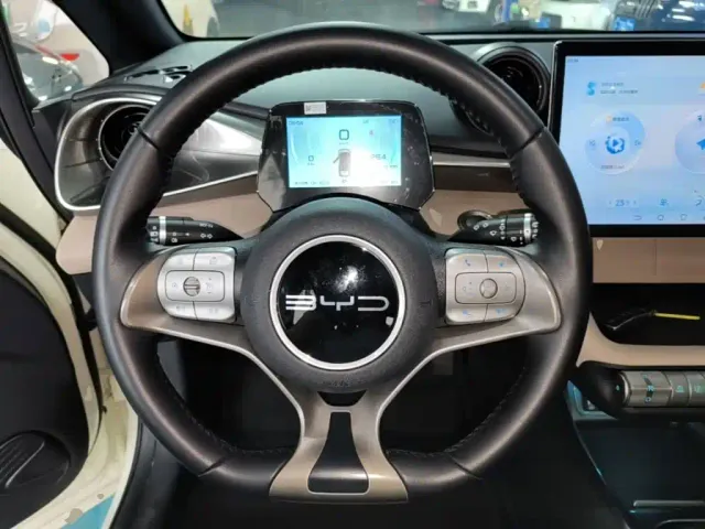 BYD Dolphin — Фото автомобиля 10