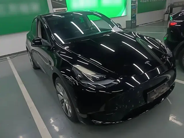 Tesla Model Y — Фото автомобиля 3