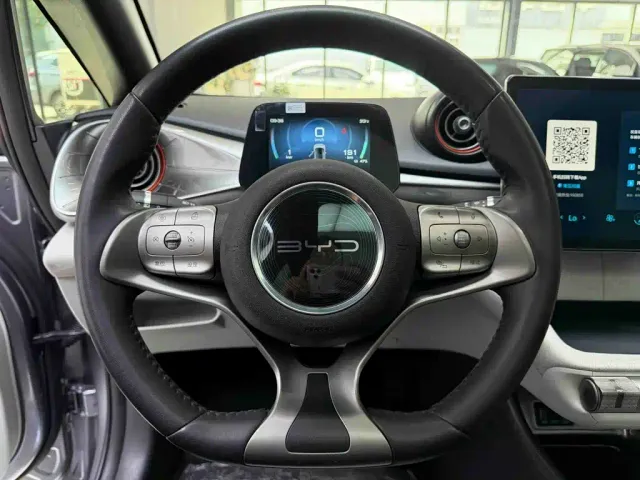BYD Dolphin — Фото автомобиля 12