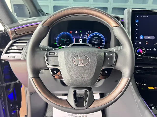 Toyota Alphard — Фото автомобиля 25