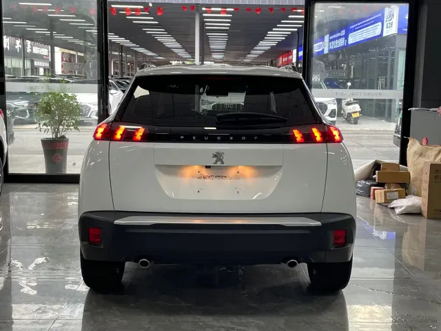 Peugeot 2008 — Фото автомобиля 15