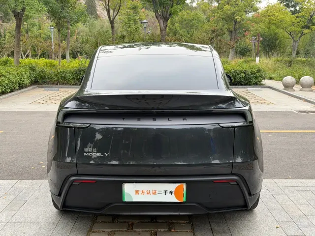 Tesla Model Y — Фото автомобиля 4
